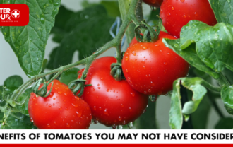 1 Benefits of Tomatoes You May Not Have Considered | Better You Rx