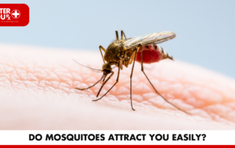 Do Mosquitoes Attract You Easily? | Better You RX