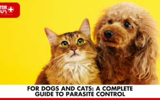 For Dogs and Cats: A Complete Guide to Parasite Contro | Better You RX