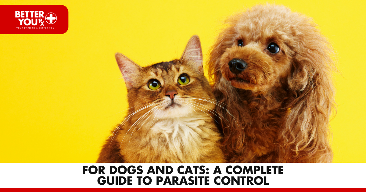 For Dogs and Cats: A Complete Guide to Parasite Contro | Better You RX