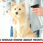 What You Should Know About Frontline Spray | Better You RX