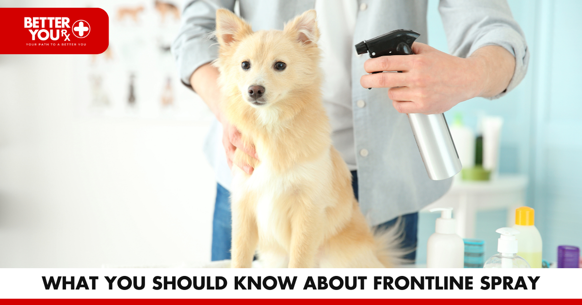 What You Should Know About Frontline Spray | Better You RX