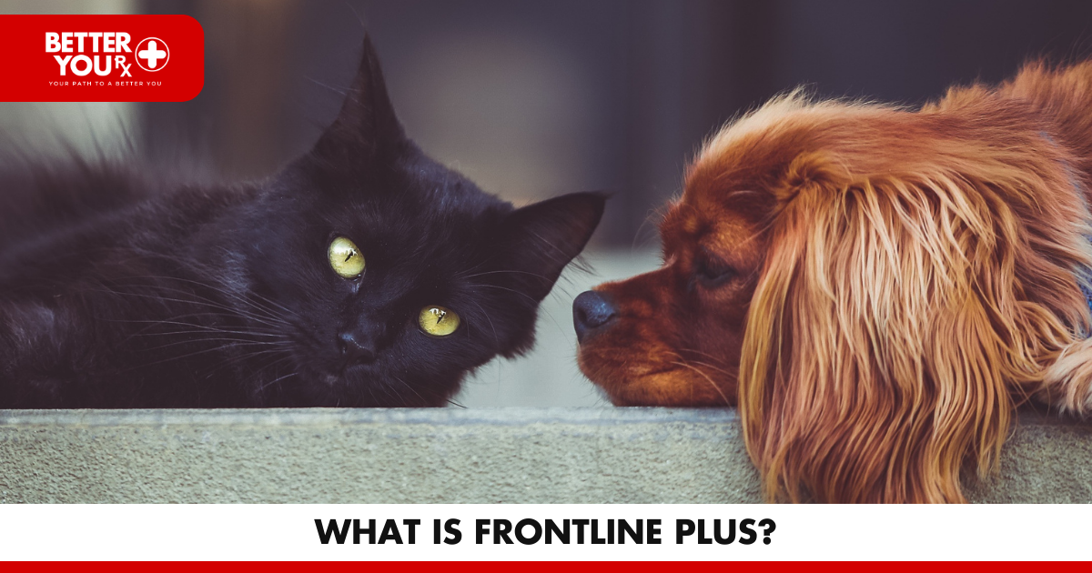 What is Frontline Plus? | Better You RX
