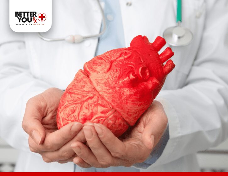 Doctor holding heart example to prevent heart disease