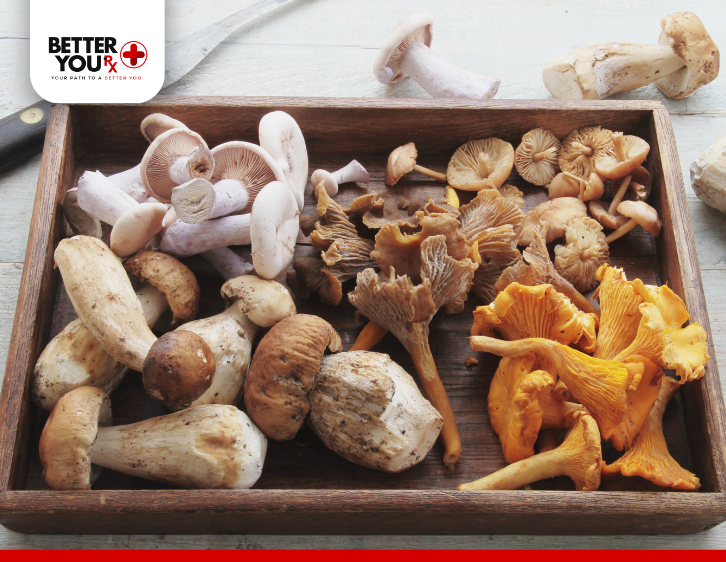 type of mushrooms for blood sugar management