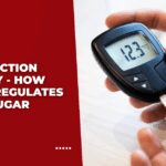 Insulin Transduction Pathway - How Insulin Regulates Blood Sugar