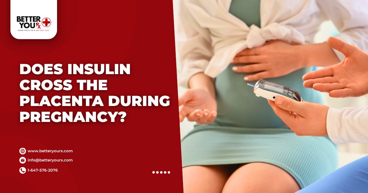 Does Insulin Cross the Placenta During Pregnancy