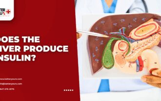 Does the Liver Produce Insulin