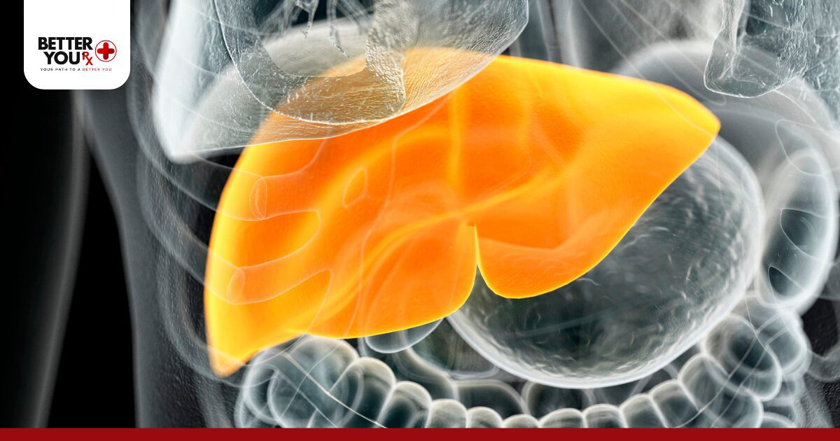 The Liver’s Response to Insulin Signals