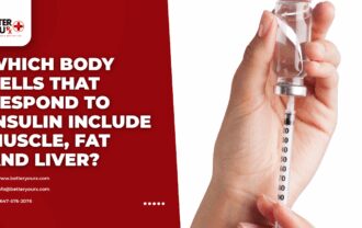 Which Body Cells That Respond to Insulin Include Muscle, Fat and Liver?