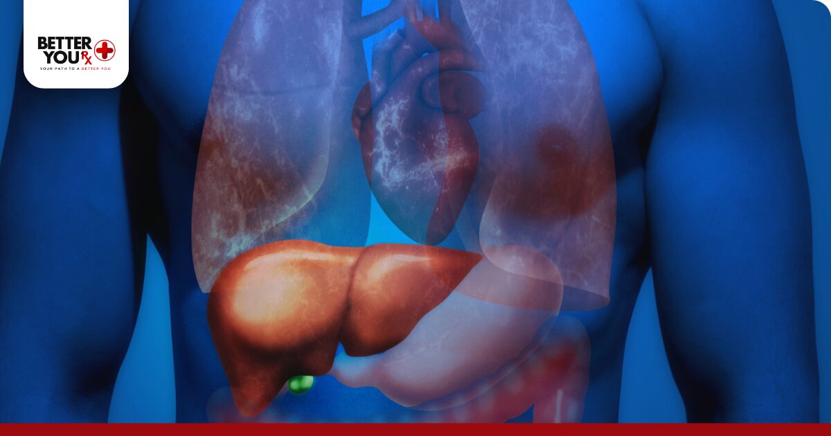 Intestinal Cells and Nutrient Absorption