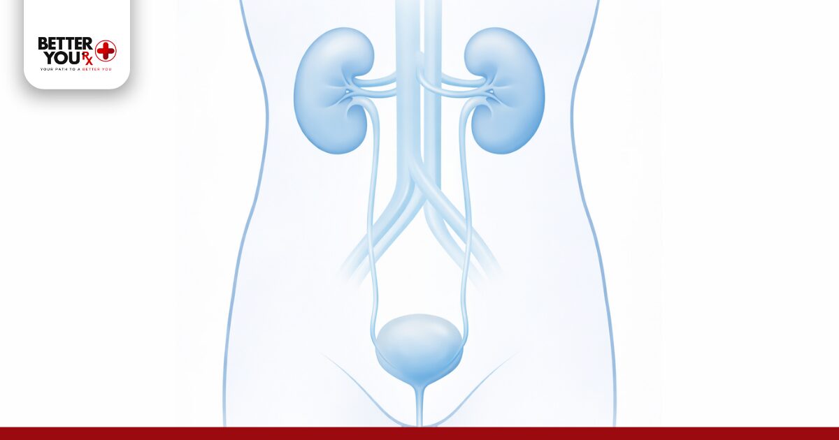 Can Ozempic Cause Kidney Stones