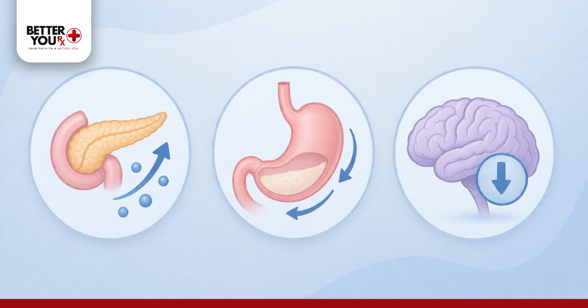 How Ozempic Works in the Body