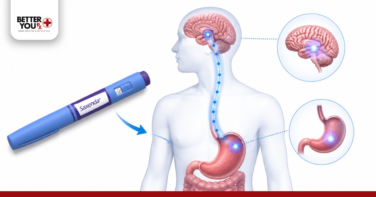 How Saxenda Works in the Body