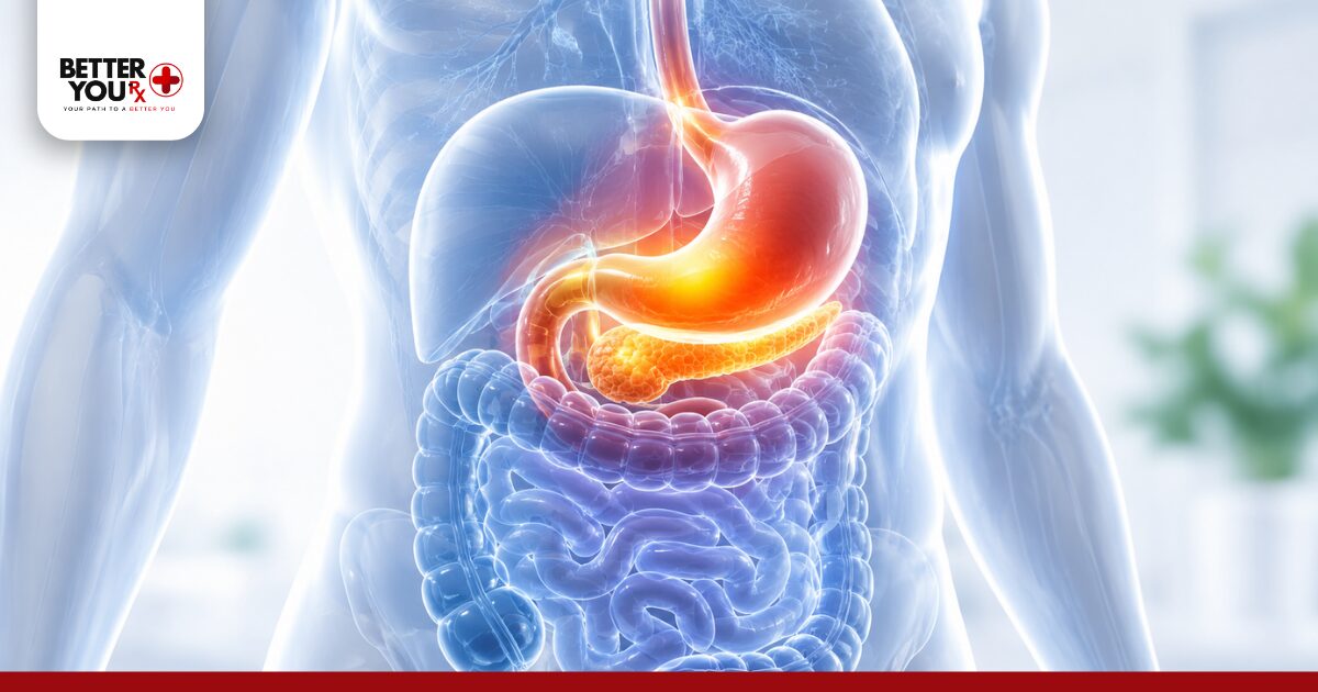 How Does Generic Ozempic Work in the Body